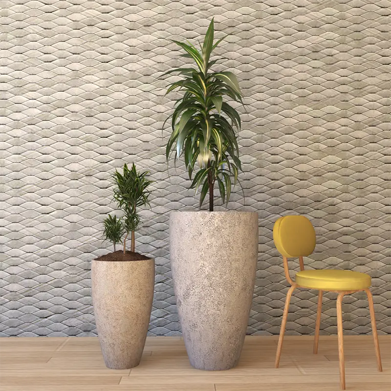 Longo Saksı Modeli